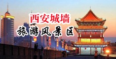 舔日少妇逼逼视频免费中国陕西-西安城墙旅游风景区